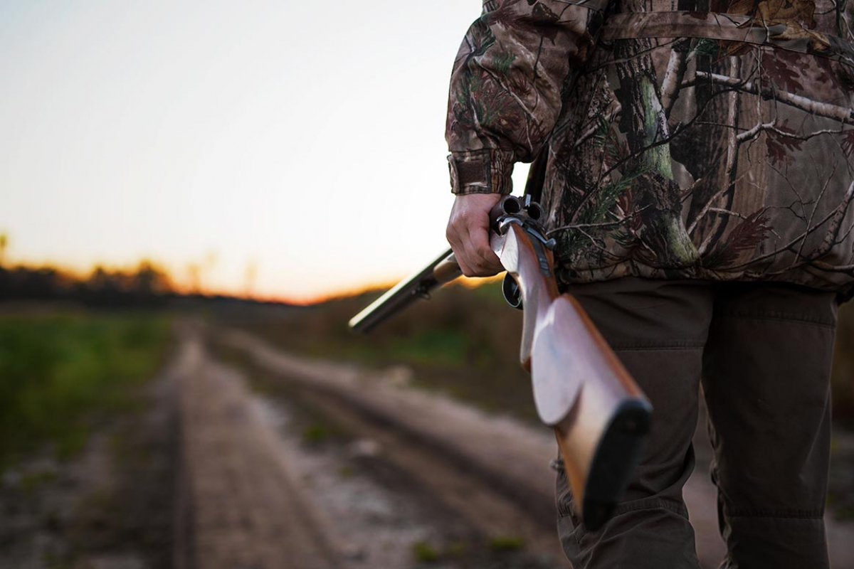Stonne : un sexagénaire décède lors d'une partie de chasse