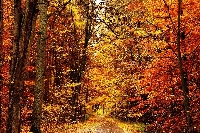 Ardennes:   L'automne a officiellement débuté cette nuit à 2h05 du matin