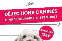 Ardennes : La ville de Sedan renforce sa lutte contre les déjections canines