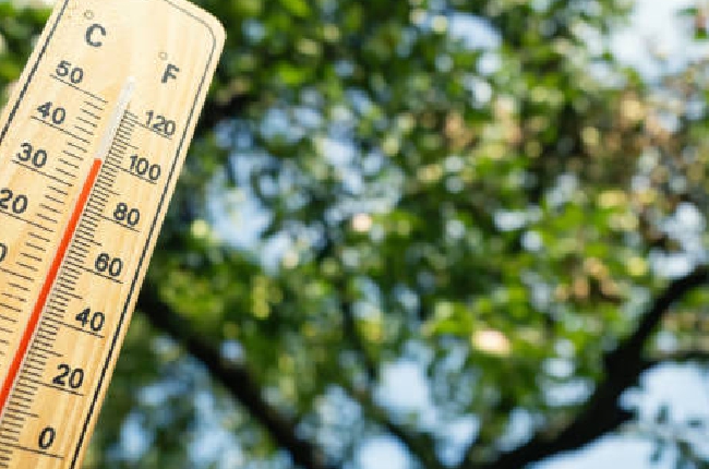 Le département des Ardennes bascule en vigilance orange canicule ce vendredi midi 