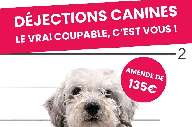 Ardennes : La ville de Sedan renforce sa lutte contre les déjections canines